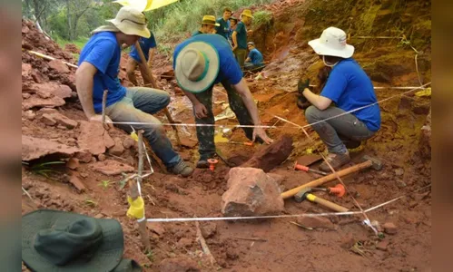 Dinossauro inédito no mundo é descoberto no Paraná