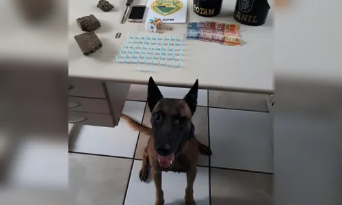 PM prende jovem suspeito de tráfico de drogas em Apucarana 