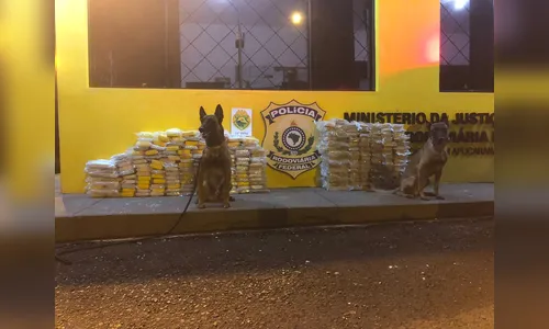 PRF E PM apreendem mais de 260 kg de cocaína e crack; um homem foi preso 