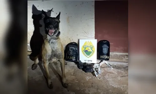 Adolescente de 17 anos é apreendido com drogas em Apucarana 