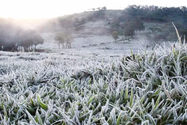 Frio intenso deve chegar nos próximos dias com previsão de geada