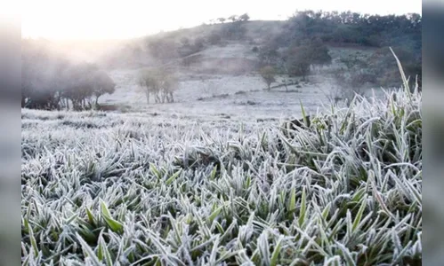 Frio intenso deve chegar nos próximos dias com previsão de geada