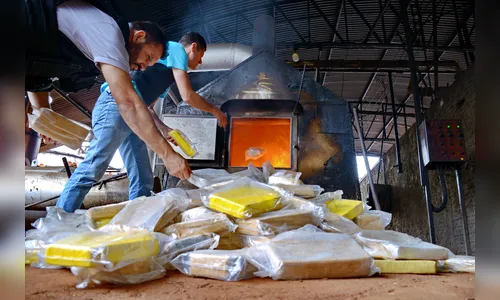 Polícia Civil de Apucarana incinera drogas avaliadas em R$ 6 mi