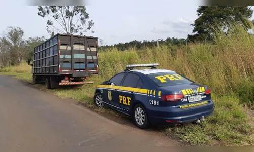 PRF apreende cerca de 120 mil carteiras de cigarro 