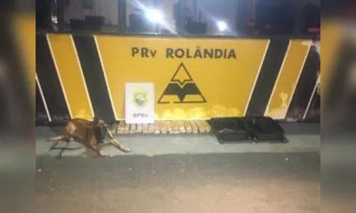 PRE apreende mais de 25 kg de maconha em Rolândia