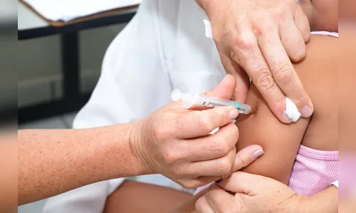 Saúde consolida dados da febre amarela no Paraná