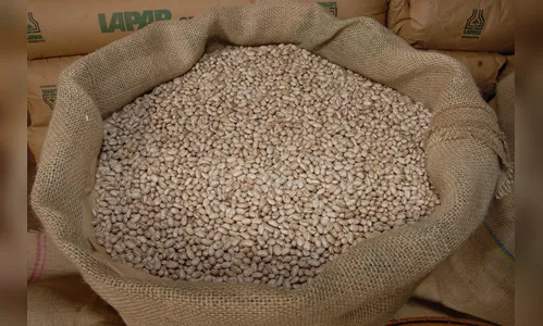 Paraná é referência no alimento mais consumido pelo brasileiro