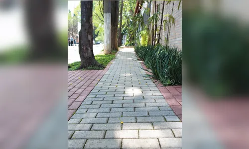 Municípios são responsáveis por calçadas, esclarece Crea-PR