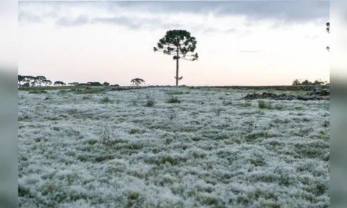 Paraná tem as menores temperaturas do ano; mais baixa foi -4,8 ºC