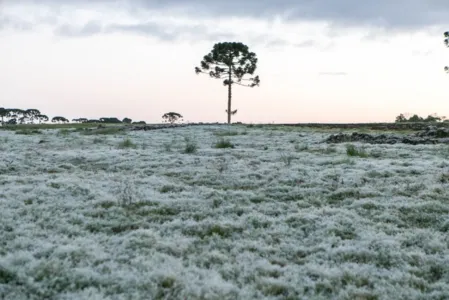 Paraná tem as menores temperaturas do ano; mais baixa foi -4,8 ºC