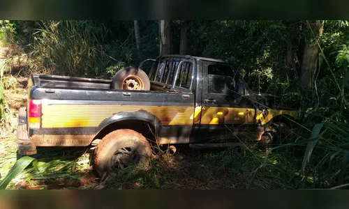 PM recupera caminhonete roubada em Califórnia