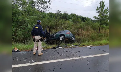 Atropelamentos e colisões concentram 50% das mortes em rodovias do PR