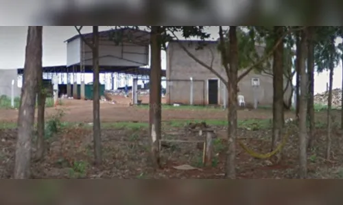 Bandejas de ovos são furtadas de Associação de Catadores da região