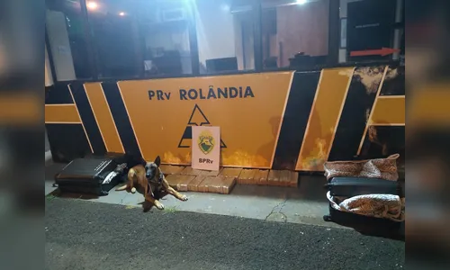 PRE apreende 56 kg de maconha em Rolândia 