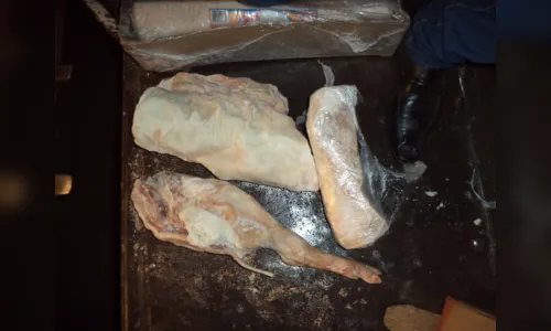 
							Vigilância, Receita Federal e PRF apreendem 3 toneladas de carne irregular em Mandaguari
						
						