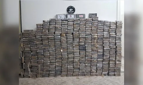 Denarc de Londrina prende quatro pessoas em São Paulo suspeitas de tráfico de drogas 