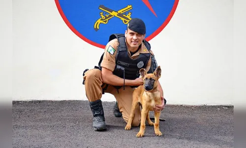 Canil da Polícia Militar ganha novo cão 'recruta'; veja vídeo