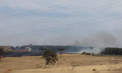 
							Fumaça de incêndio na região da BR 369 exige atenção de motoristas 
						
						