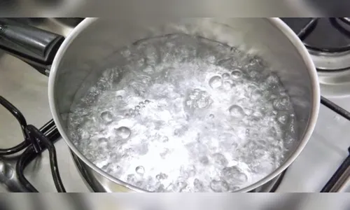 Cão morre após ser atingido por água fervente em Marialva 