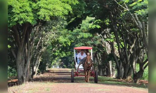 Turismo rural conquista visitantes em diversas regiões do Estado