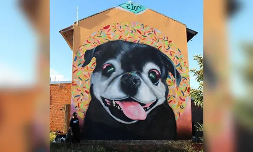 Encontro nacional de Graffiti tem 51 artistas confirmados