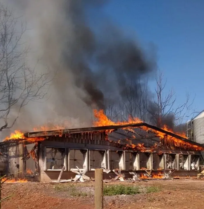 Incêndio em aviário provoca a morte de 39 mil frangos