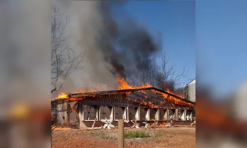 Incêndio em aviário provoca a morte de 39 mil frangos