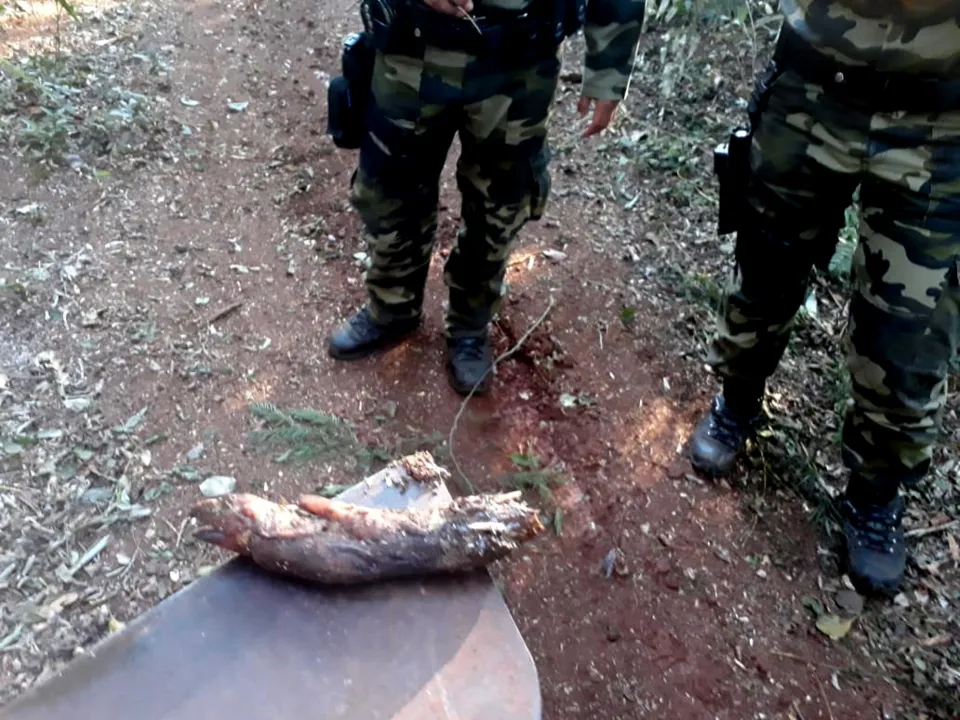 Polícia Ambiental encontra restos de animais abatidos em RPPN`s da região