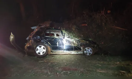 
							Crianças são ejetadas de carro após capotamento na BR-376; ao todo seis pessoas ficaram feridas
						
						