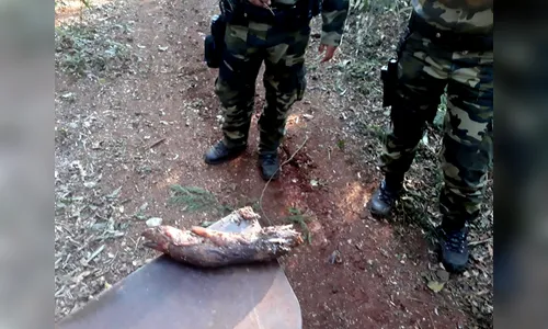 Polícia Ambiental encontra restos de animais abatidos em RPPN`s da região