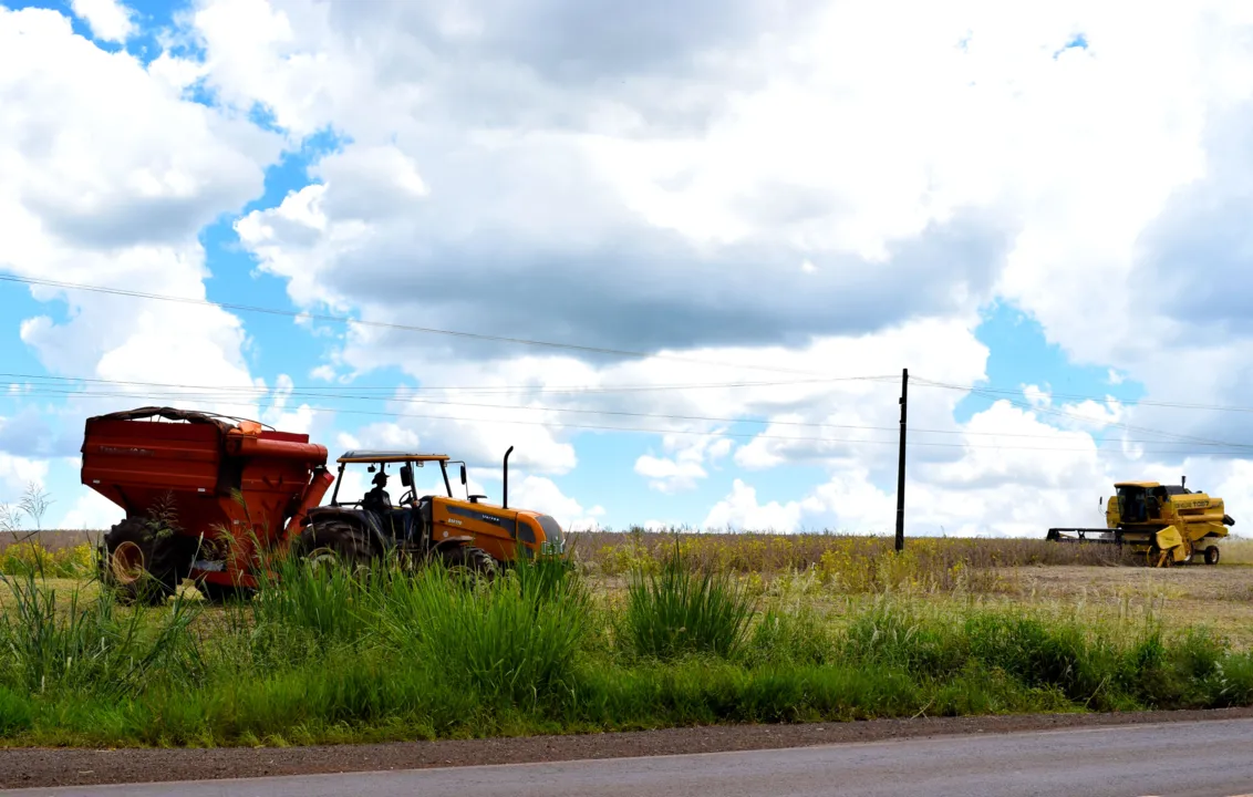 A produção agrícola é a segunda atividade que mais concentra acidentes por choque elétrico, no Paraná  (Foto: Ivan Maldonado)