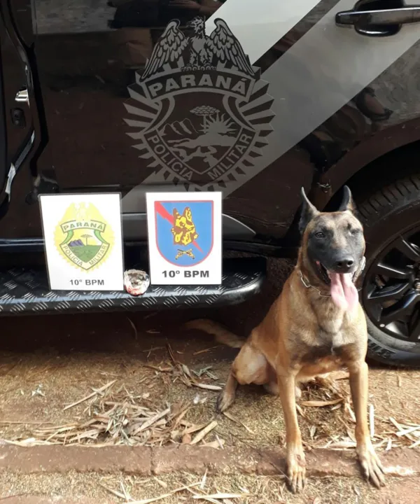 Mulher de 51 anos é presa suspeita de tráfico de drogas em Apucarana