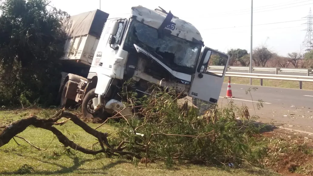 Caminhão sai da pista e arranca árvores em Aricanduva