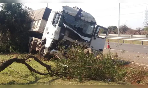 Caminhão sai da pista e arranca árvores em Aricanduva