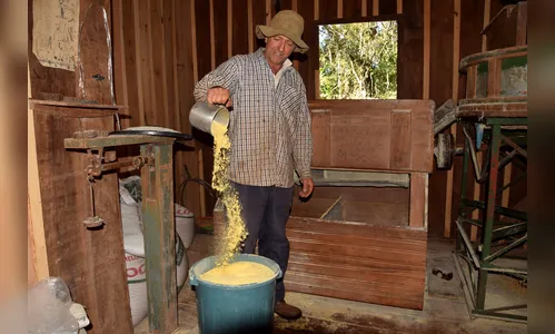 Aposentados na cidade retornam para o campo