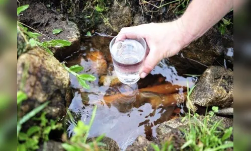 Projeto Água Limpa segue restaurando minas em Arapongas