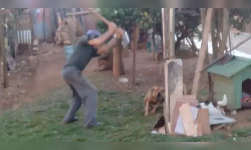 Idoso é preso após matar cachorro que comeu galinha em Ponta Grossa