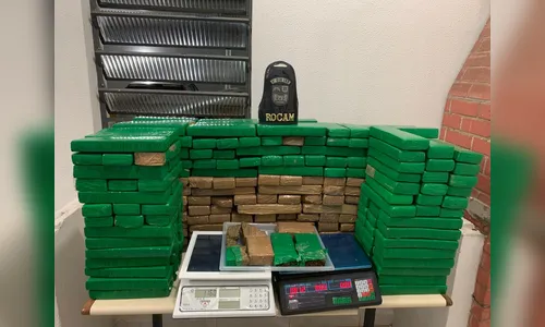 PM de Londrina apreende 196 kg de maconha após rastrear tornozeleira eletrônica