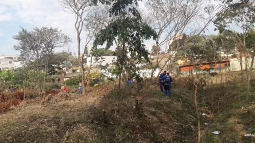 Prefeitura realiza limpeza em terrenos que irão receber obras de urbanização e revitalização 