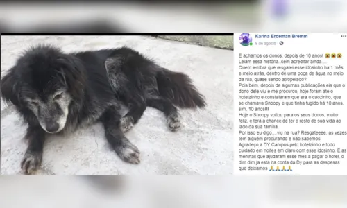 
							Após 10 anos, cachorro que  fugiu de uma casa em Curitiba é reencontrado 
						
						