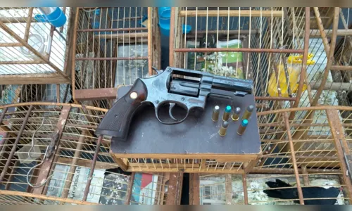 Polícia Ambiental apreende gaiolas, pássaros e arma de fogo