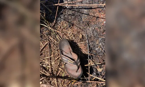 
							Corpo de jovem é encontrado carbonizado em Sarandi
						
						