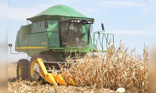 Colheita da safrinha de milho chega à reta final na região de Ivaiporã