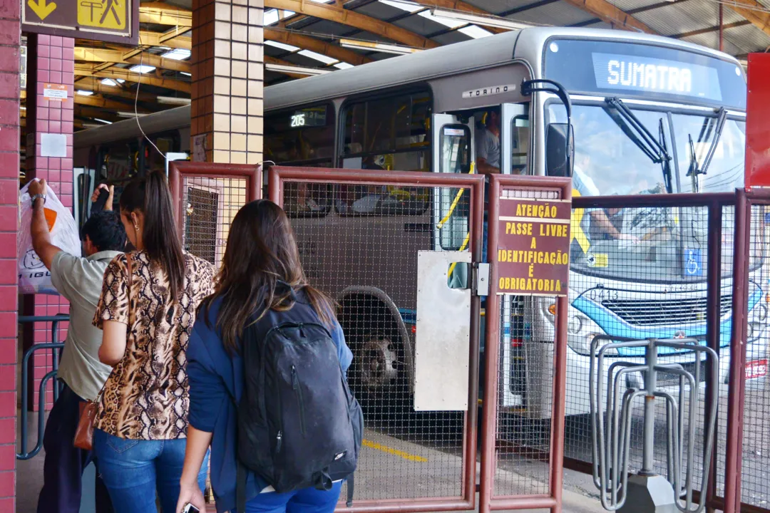 A comissão de licitação do transporte coletivo da Prefeitura de Apucarana, desabilitou do processo a empresa vencedora da licitação, Viação Apucarana (VAL). Foto: Sérgio Rodrigo