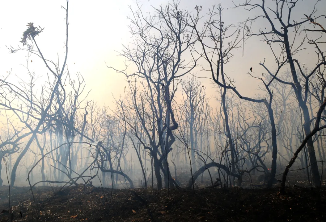 Propriedade rural é devastada por incêndio, em São Pedro do Ivaí