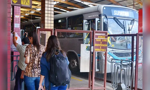 Comissão desabilita VAL e Apucarana deverá ter nova licitação para transporte coletivo