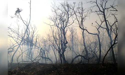 Propriedade rural é devastada por incêndio, em São Pedro do Ivaí