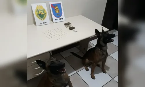 Homem é preso suspeito de tráfico em Apucarana e alega que drogas eram  do irmão 