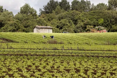 Para participar, as associações ou cooperativas devem estar formalmente constituídas (Foto: AEN)