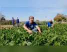 Prefeitura apoia o agronegócio